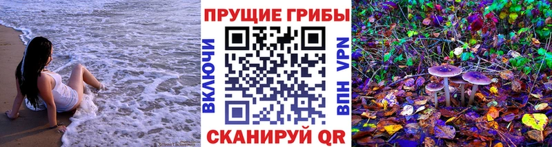 Купить  Елизаветинская  Псилоцибиновые грибы мухоморы 